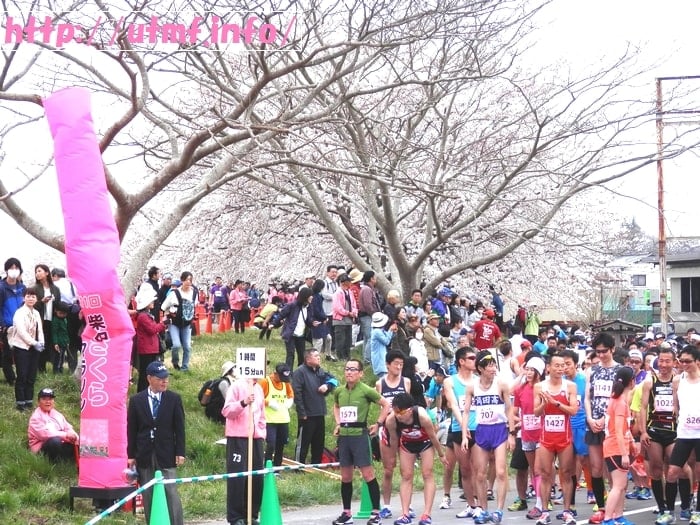 柴田桜ハーフマラソンは満開の桜を見る花見ランニングで土曜日開催。