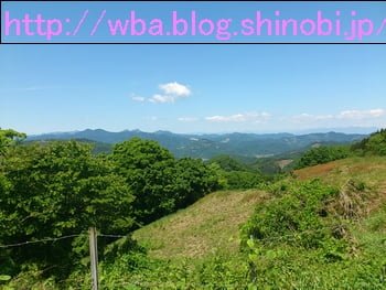 埼玉県外秩父トレイルラン４３のコース内森林。