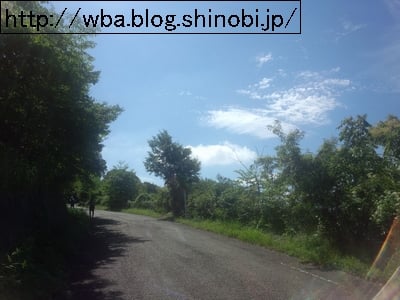 埼玉県外秩父トレイルラン４３のコース内森林。