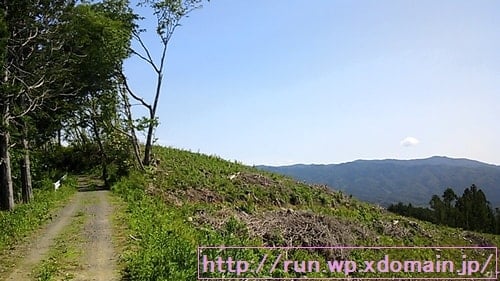 奥久慈トレイルレース山頂