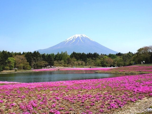 ＳＴＹ静岡から山梨まで９２Km走った！大会前日の過ごし方と攻略体験記。
