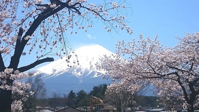 Fuji100mile・ＳＴＹの参加案内を準備して大会当日、富士山子どもの国で受付。