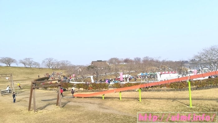 東北風土マラソン結果！コース上のステーキとフカヒレでサブ５達成。