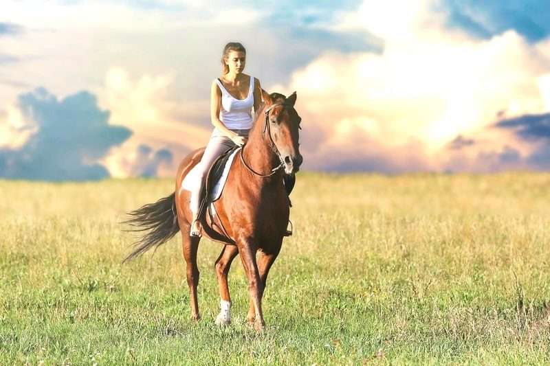 Horse Riding Girl