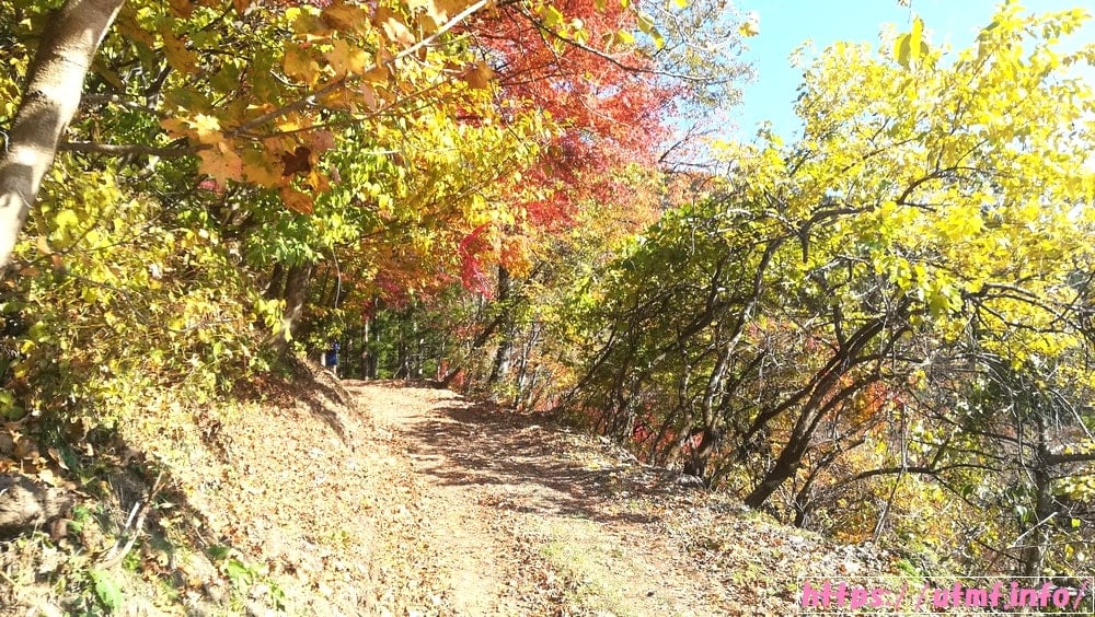 神流マウンテンラン＆ウォーク完走！群馬県土産の恐竜の卵とは？
