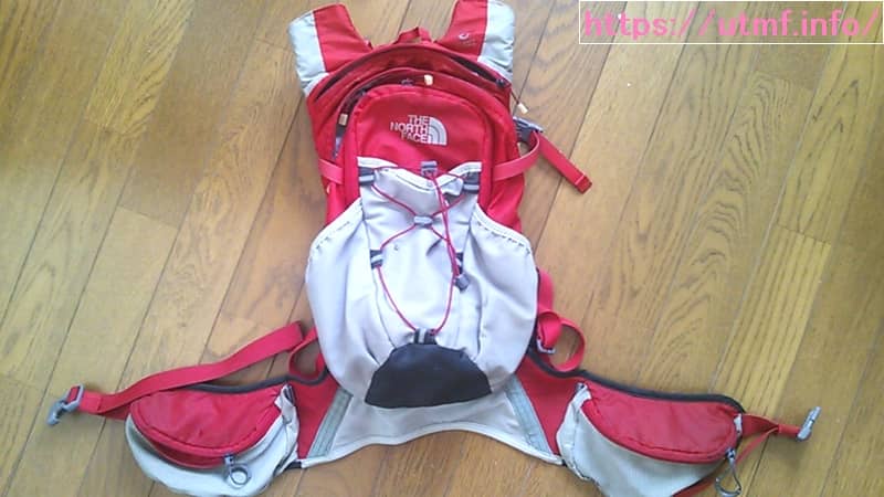 the north face martin wing 10