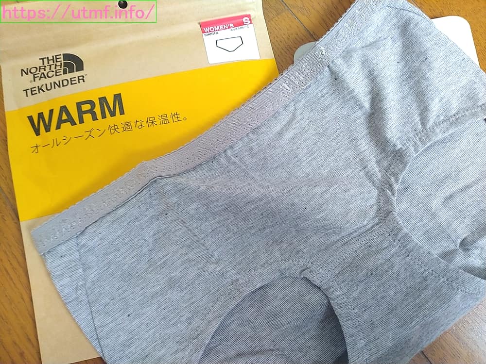 The North Face Insulation Shorts (NUW66108)
