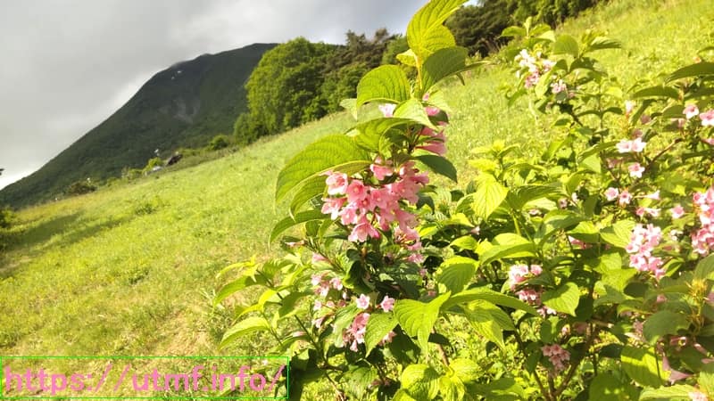 Mt. Akaue
