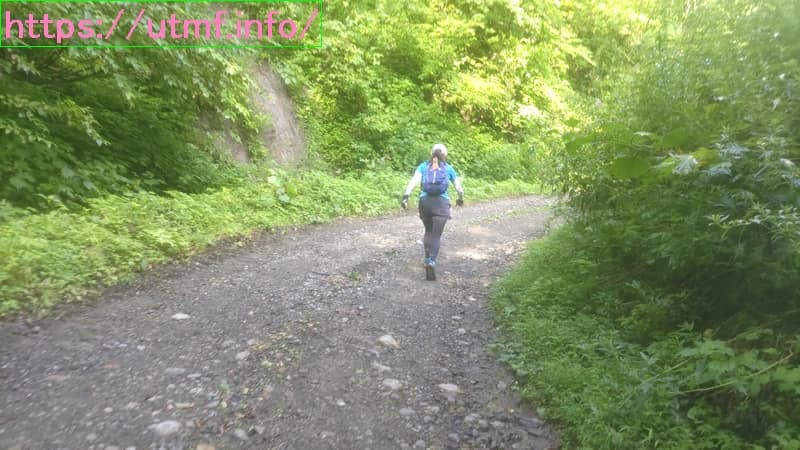 真昼山地トレイルランの林道。