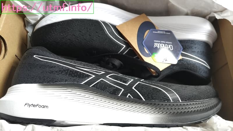 Asics EvoRide 3