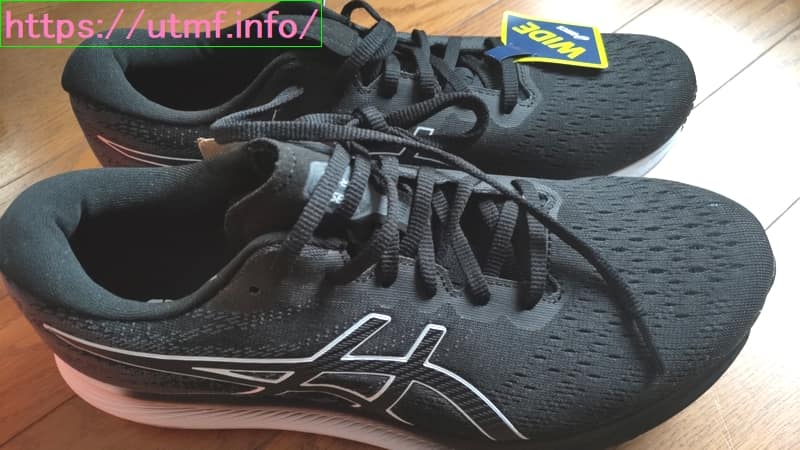 Asics EvoRide 3