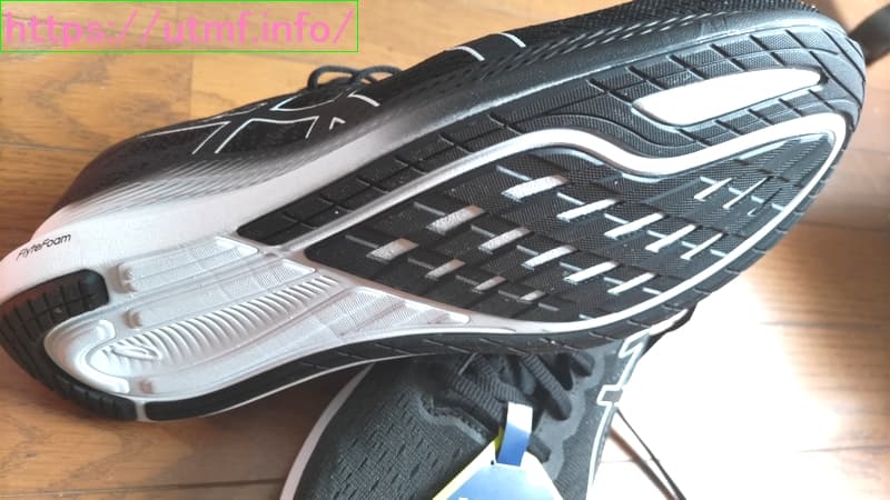 Asics EvoRide 3