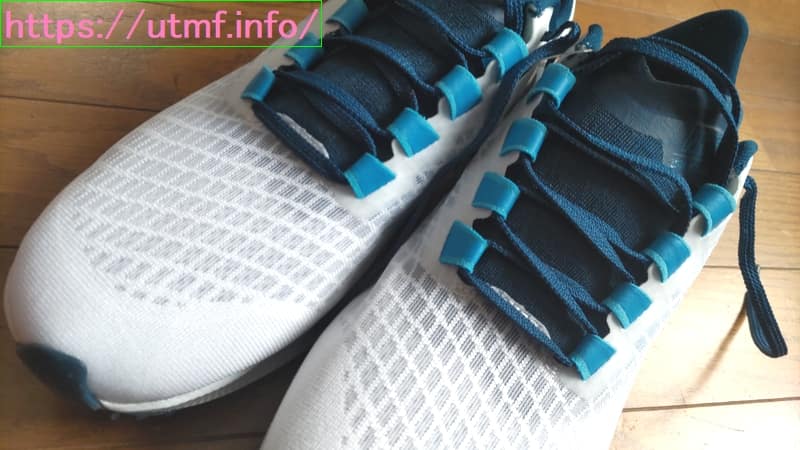Nike Pegasus 40