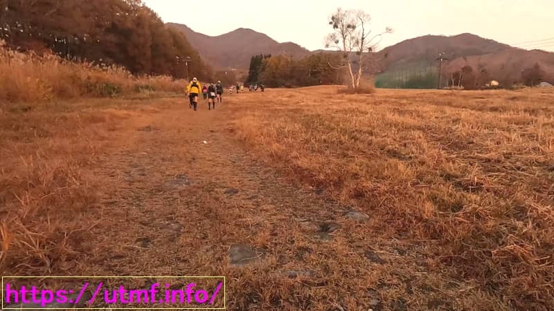 Otari Salt Road Trail Run