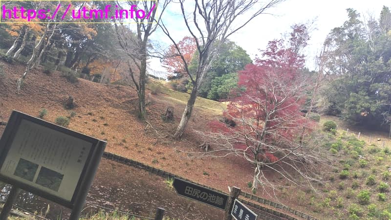 Hakone Checkpoint and Mishima Walk