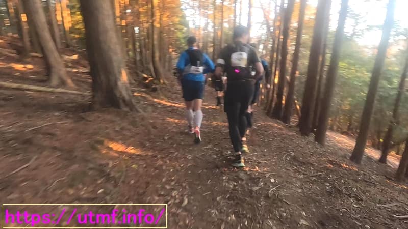 Izu Trail Journey