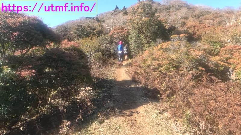 Izu Trail Journey