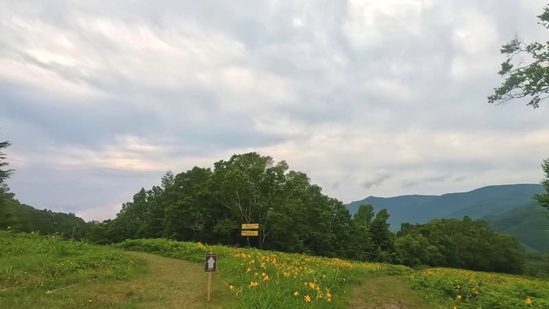 Shiga Kogen 100