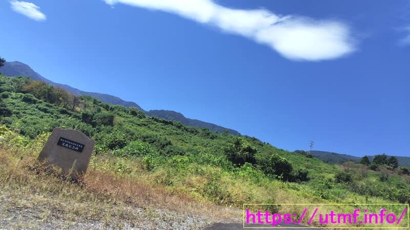 hamaishidake