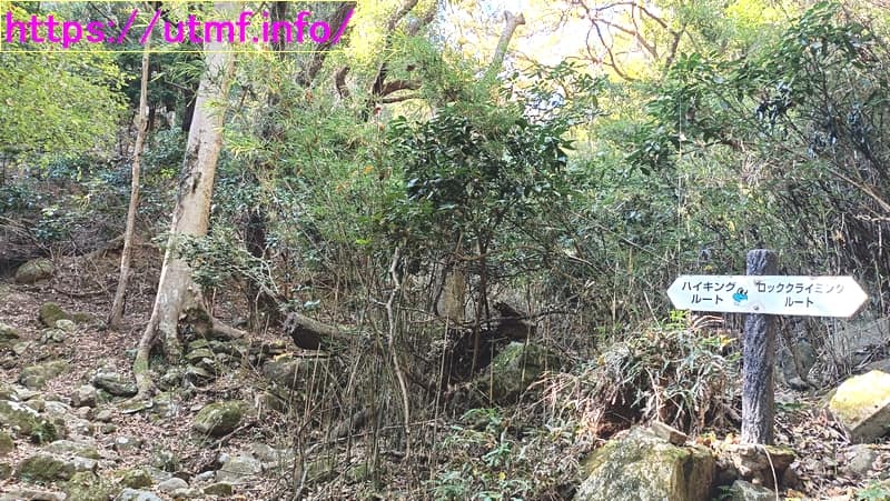 伊豆三山（城山）