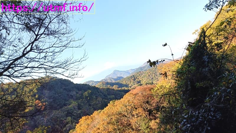 伊豆三山（城山）