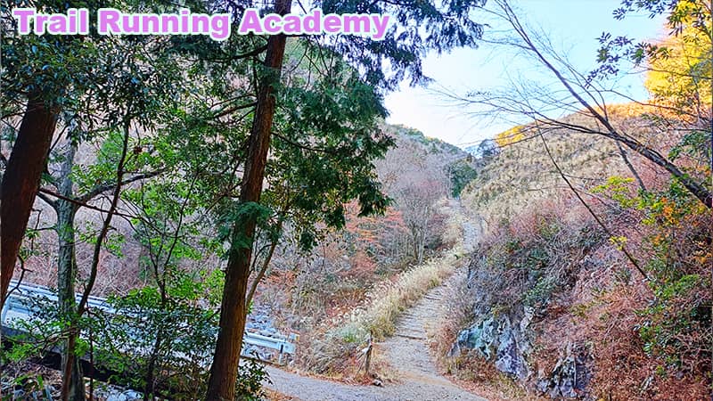 mt.ashitaka