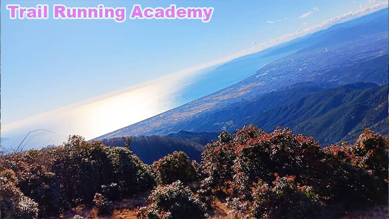 mt.ashitaka