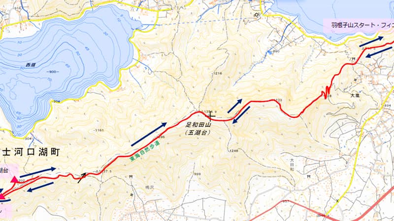 mt.fuji.womans.trailrunning.jpg5