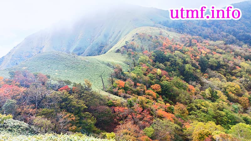 剣山から次郎笈（じろうぎゅう）の紅葉。