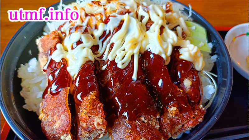 道の駅、風穴の里で鹿肉を食べた。