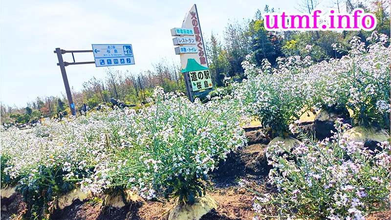 道の駅桜島火の鳥めぐみ館