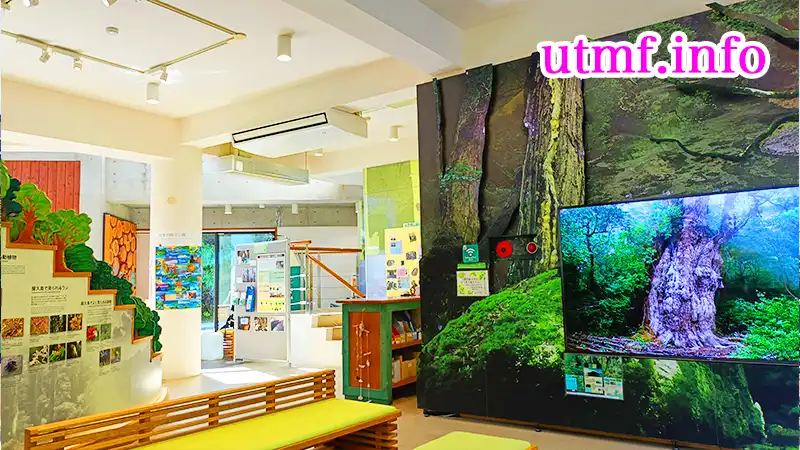 屋久島世界遺産センター