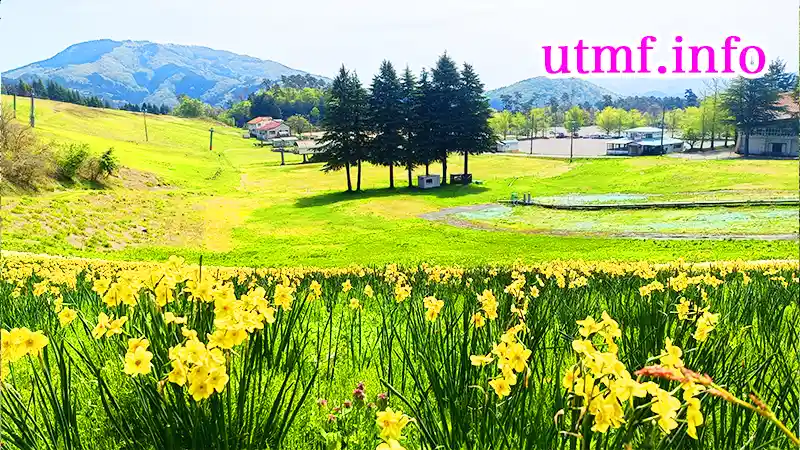神鍋高原を登山した。