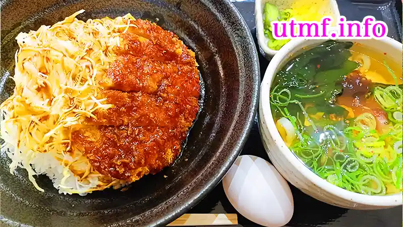 紀ノ川SA(下り)のフードコートでソースかつ、うどん付きを1320円で食った。
