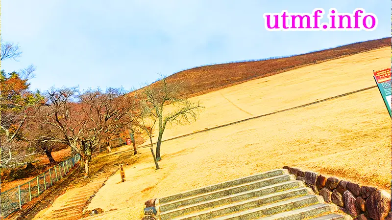 奈良公園の若草山