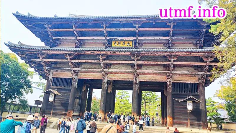 奈良公園の鹿
