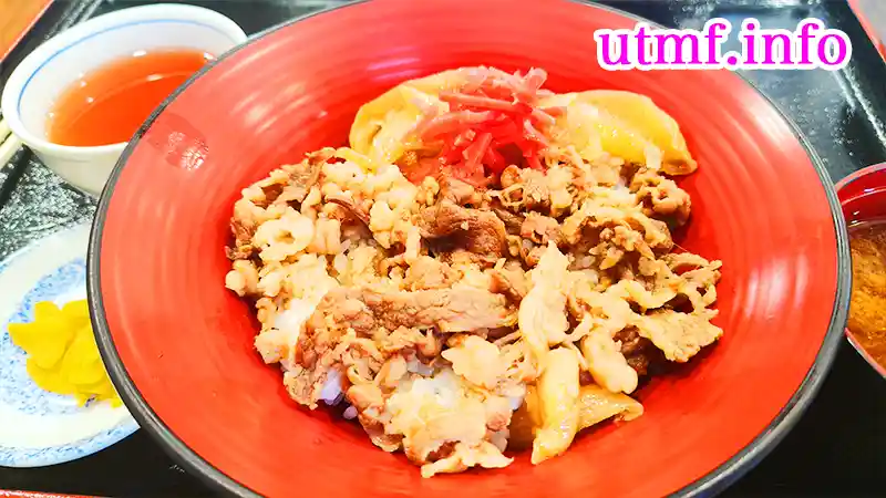 道の駅村岡ファームガーデンの但馬牛丼