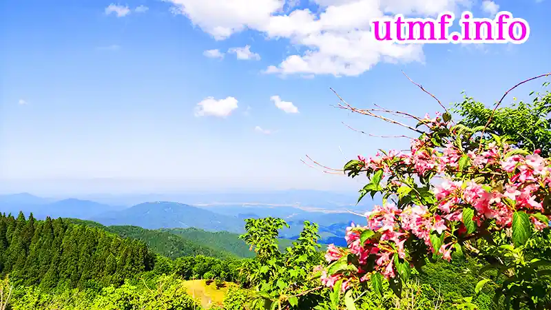 兵庫県の蘇武岳