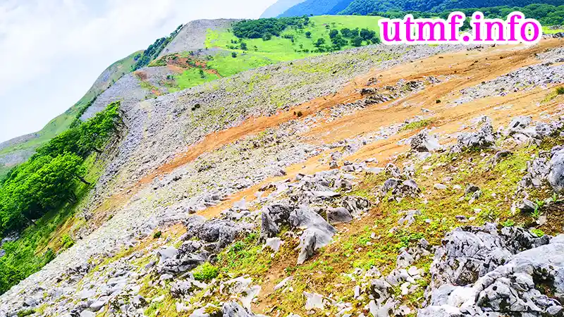 霊仙山の登山道