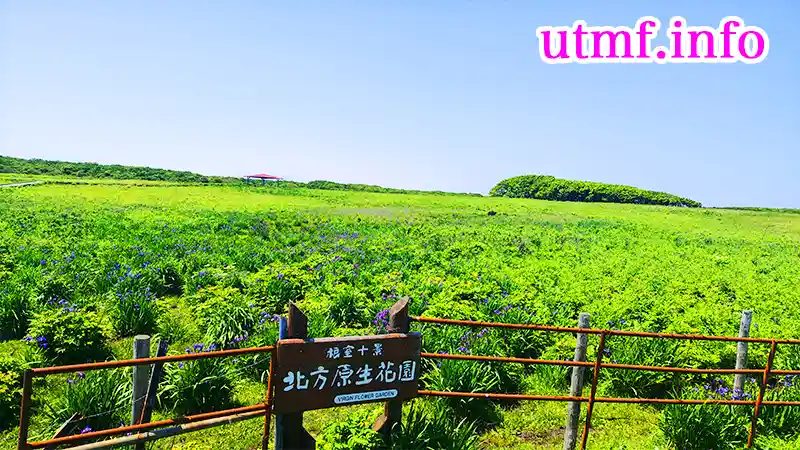 北方原生花園
