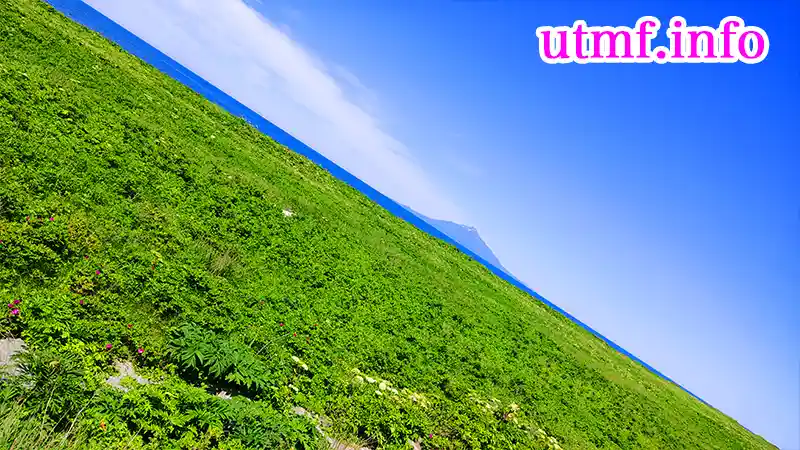 利尻島