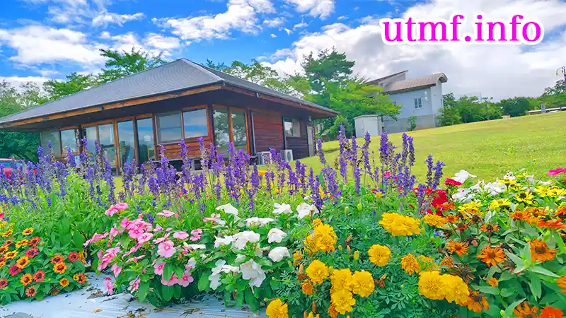 芸術村公園は避暑地