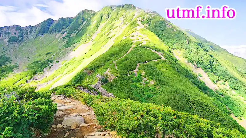 仙丈ヶ岳の絶景